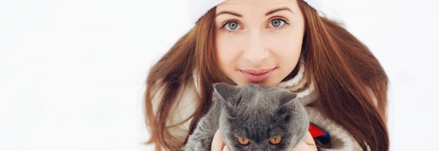 5 dicas para se comunicar melhor com seu gato