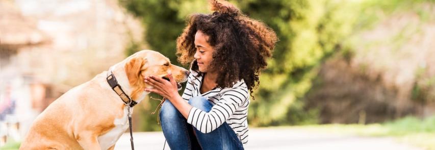 (Português) Pet Terapia: Cães auxiliam crianças e adultos com deficiências e outros problemas de saúde