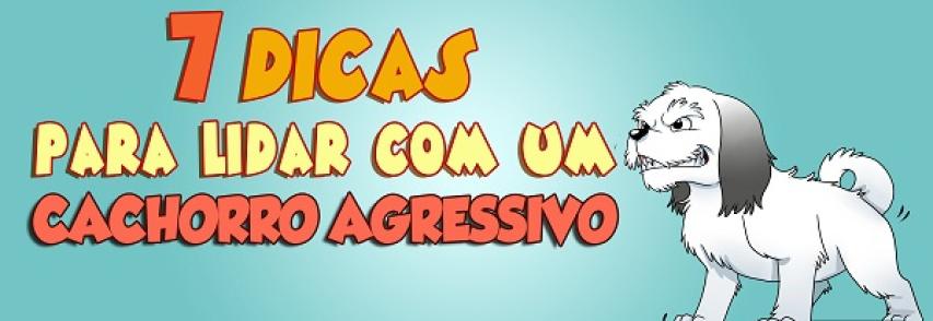 (Português) 7 Dicas para Lidar com um Cachorro Agressivo