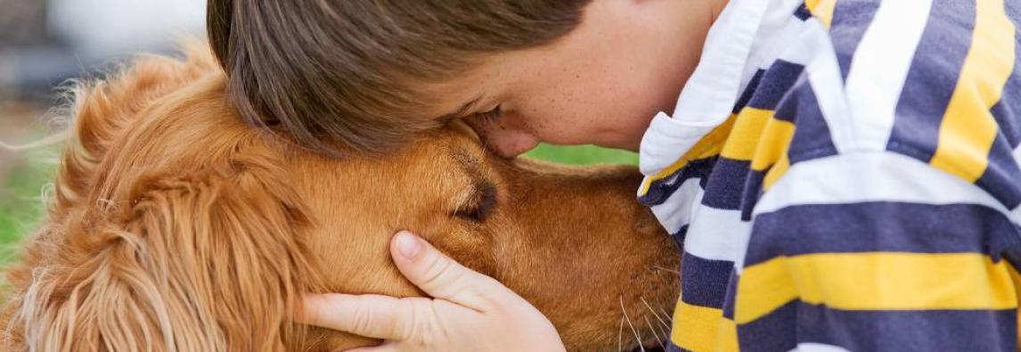 Crianças preferem animais de estimação a irmãos, diz estudo